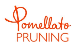 Pomellato Fuori Produzione gioielli  - Collezioni Gioielli Fuori Produzione Pomellato