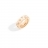 Anello medio