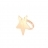 Anello Goldenfall