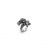 Anello Via Lattea