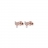 Orecchini Lobo Micro Zirconi Fiocco Bow Ton