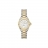 Aquaracer