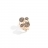 Anello 