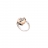 Anello Campanella