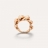 Anello Catene