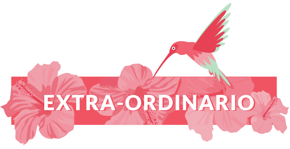 ExtraOrdinario ExtraOrdinario